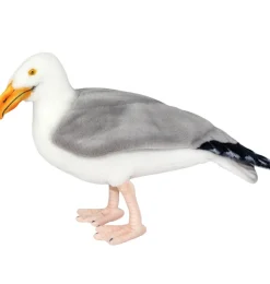 Hansa Creation Albatros