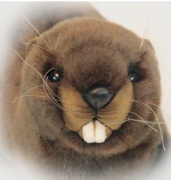 Hansa Creation Biber