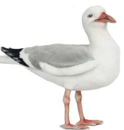 Hansa Creation Silbermöwe