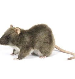 Hansa Creation Wanderratte 19 cm