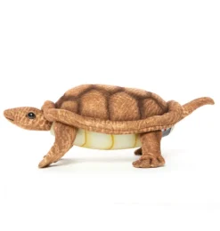 Hansa-Schöpfungsschildkröte