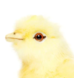 Küken Hansa Spielzeug 12 cm