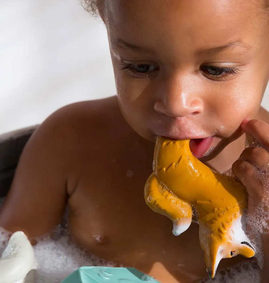 Oli & Carol Rob de Fox Beißspielzeug, Badespielzeug und Armband