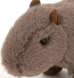 Orange Toys Wasserschwein