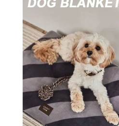 OYOY Hundedecke / Hundedecke KAYA 80 x 100 cm