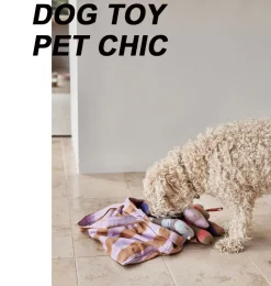 OYOY Hundespielzeug Ashi Knochen